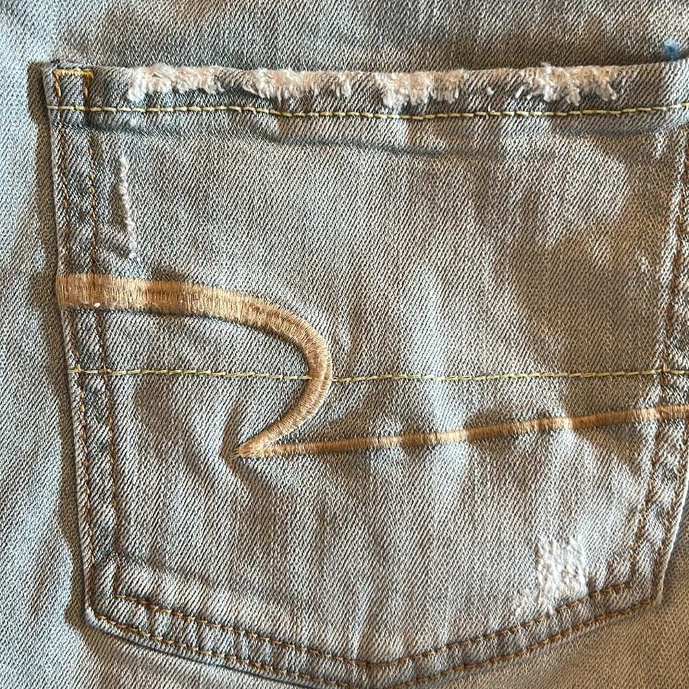 American  eagle 🦅 - Picture 8 of 9